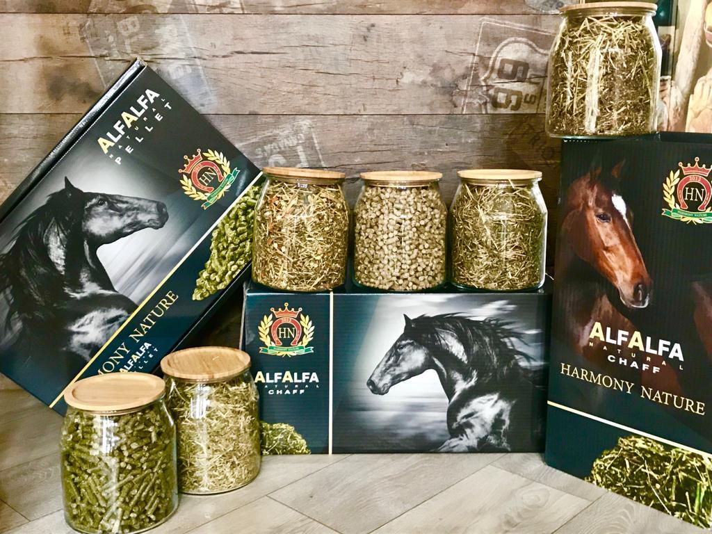 2ab80a1ffae8dad423f9b253c9f3c8a7